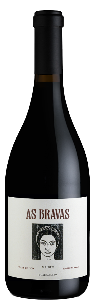 El Enemigo As Bravas Gualtallary Malbec