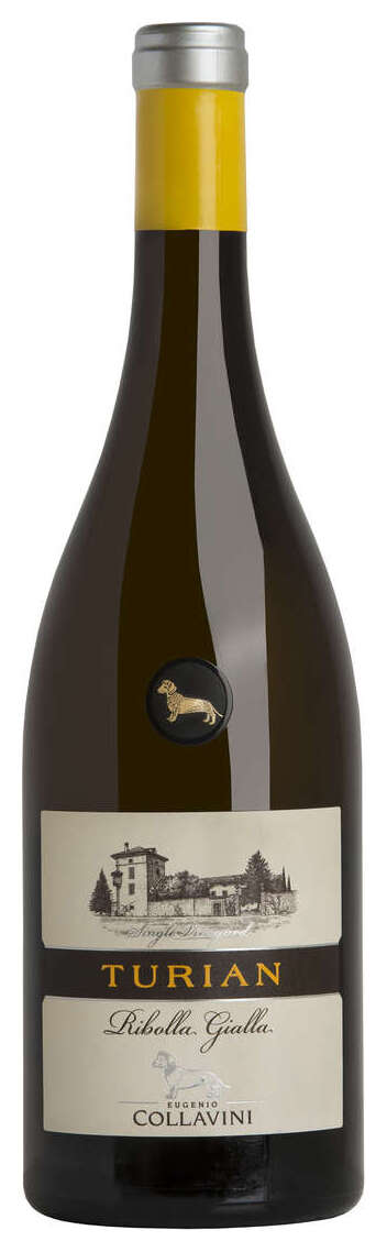 Collavini Turian Single Vineyard Ribolla Gialla