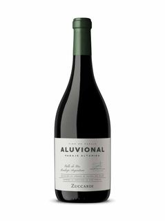 Aluvional Paraje Altamira